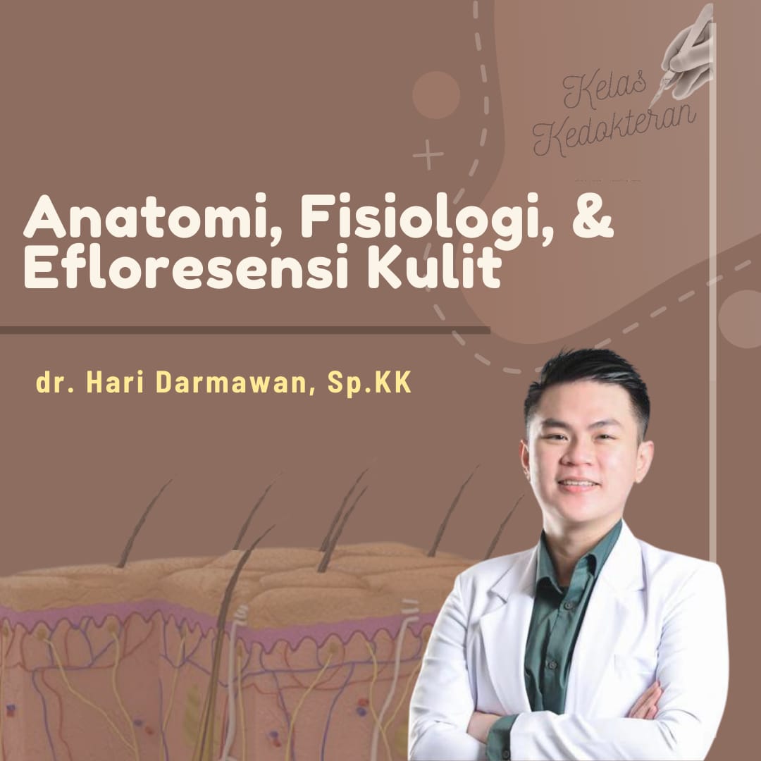 Anatomi, Fisiologi, Dan Efloresensi Kulit